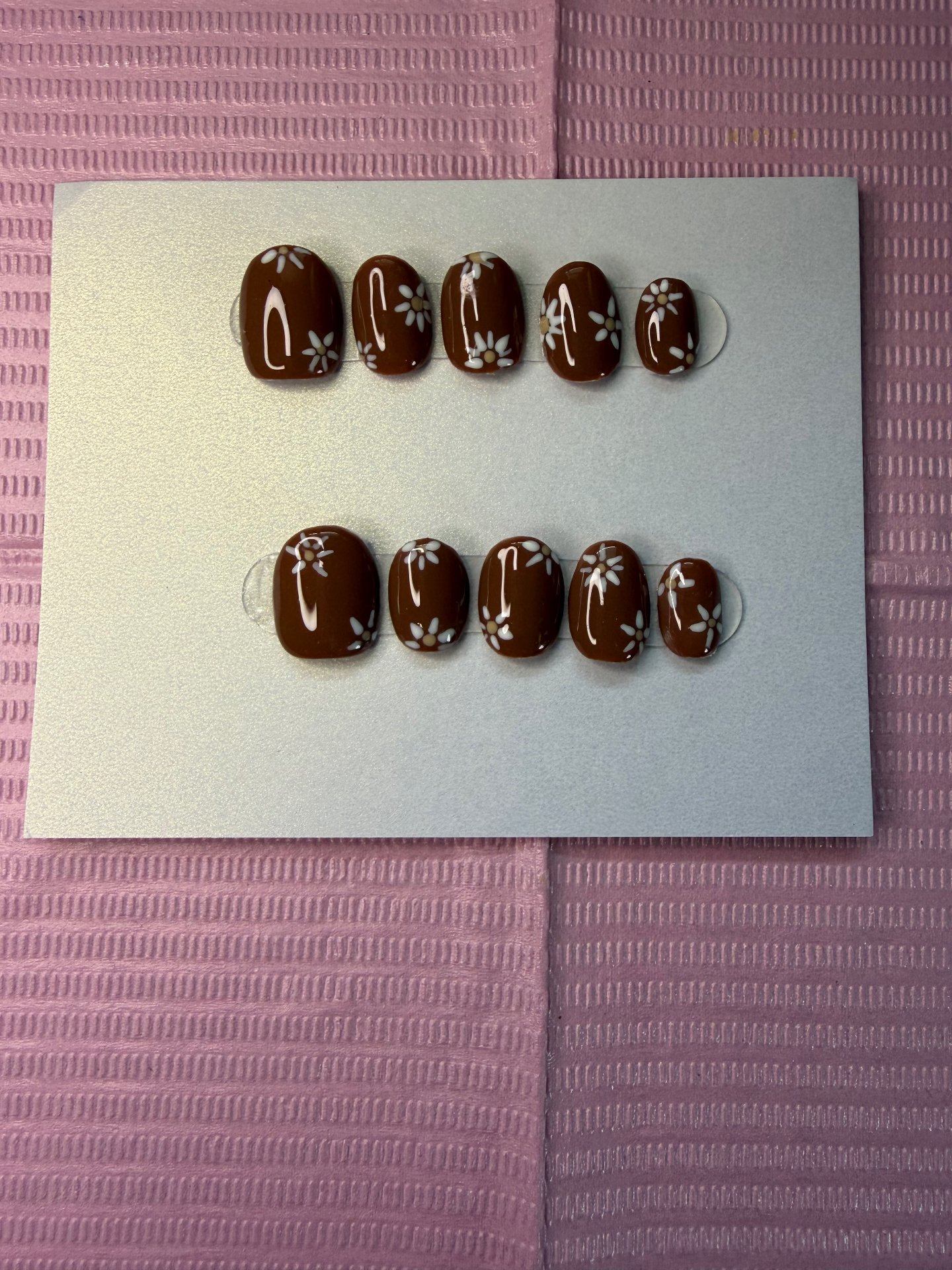 Cocoa Daisy