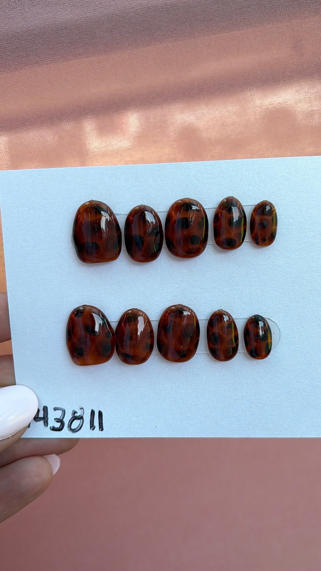 Tortoise Amber